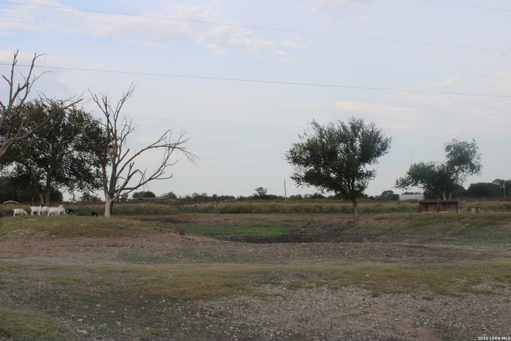 Picture 32