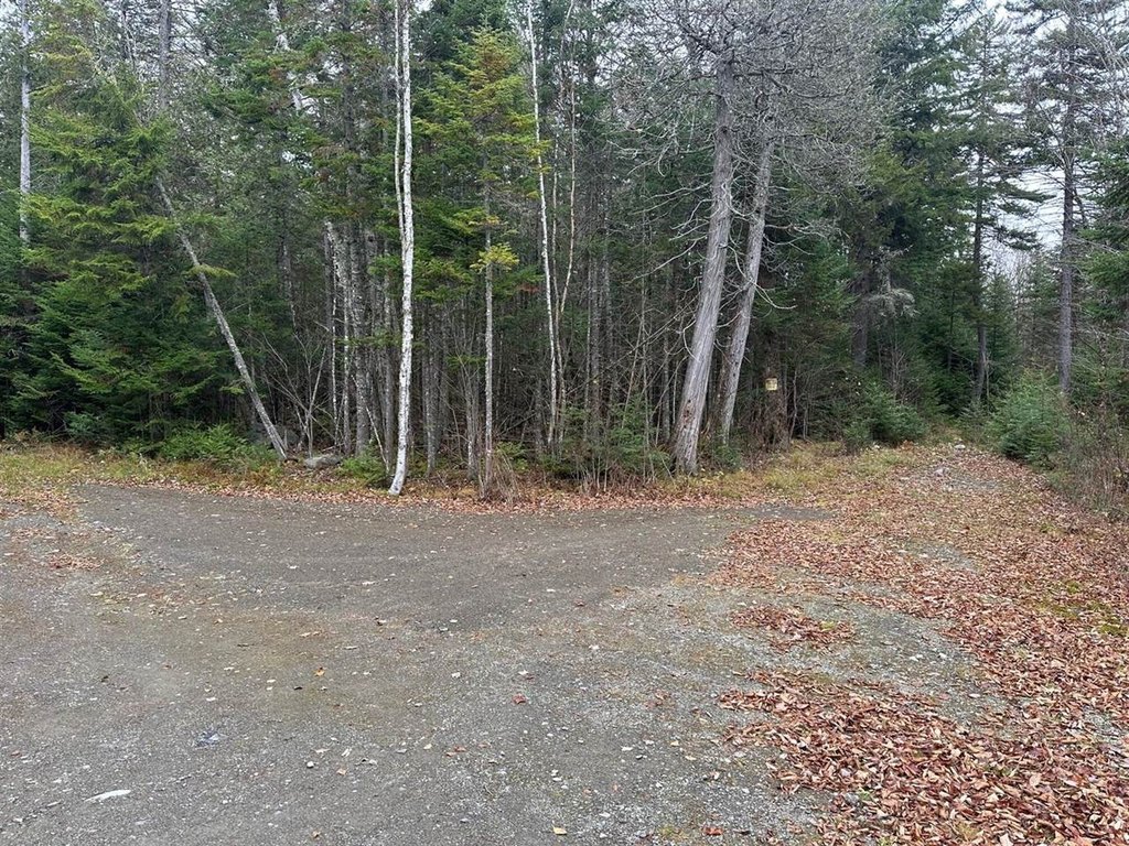 Picture 30