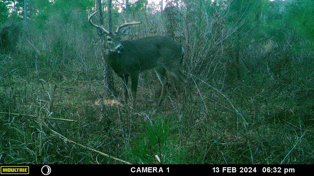 Picture 2