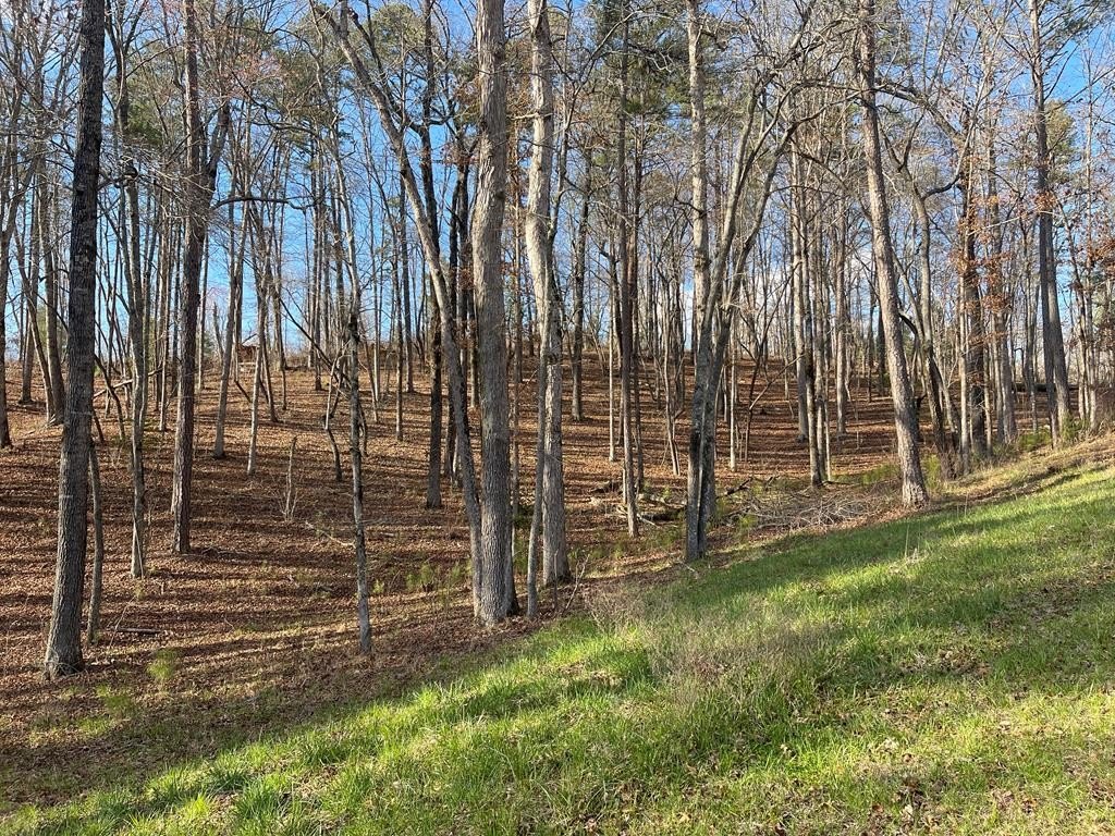 Ellijay Vacant Lot in Gated Community