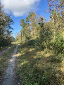 Secluded Lots in Cross, SC