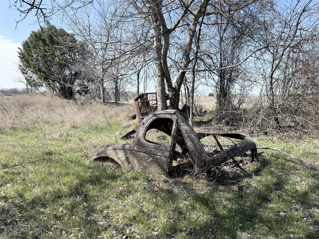 Picture 7
