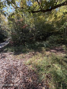Land, Andrews, NC