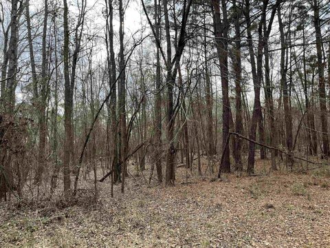East Texas Acreage Opportunity