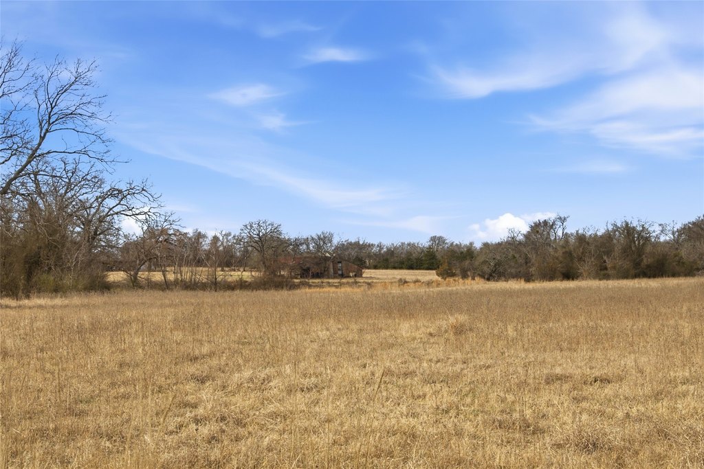 Picture 27
