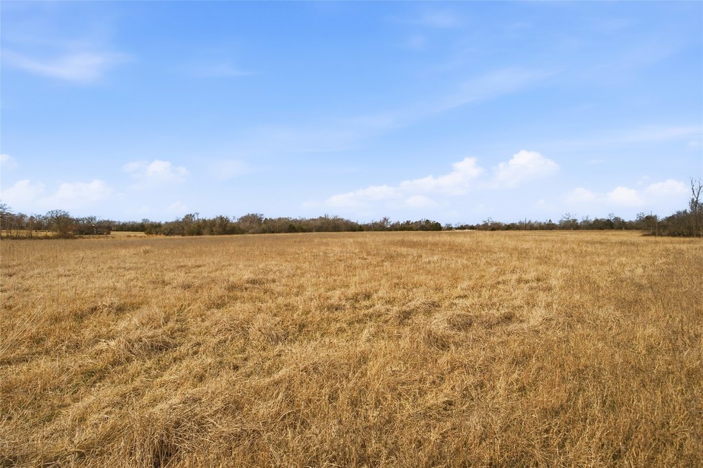 Picture 28