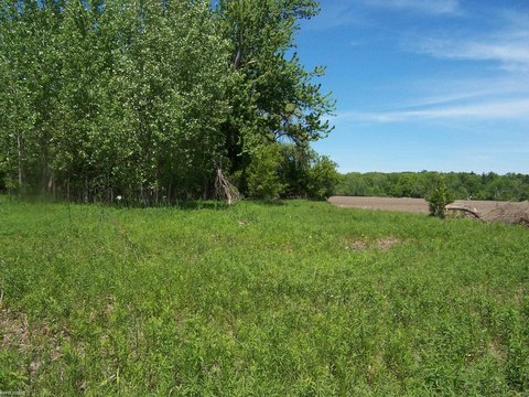 Commercial Land on Paved Road
