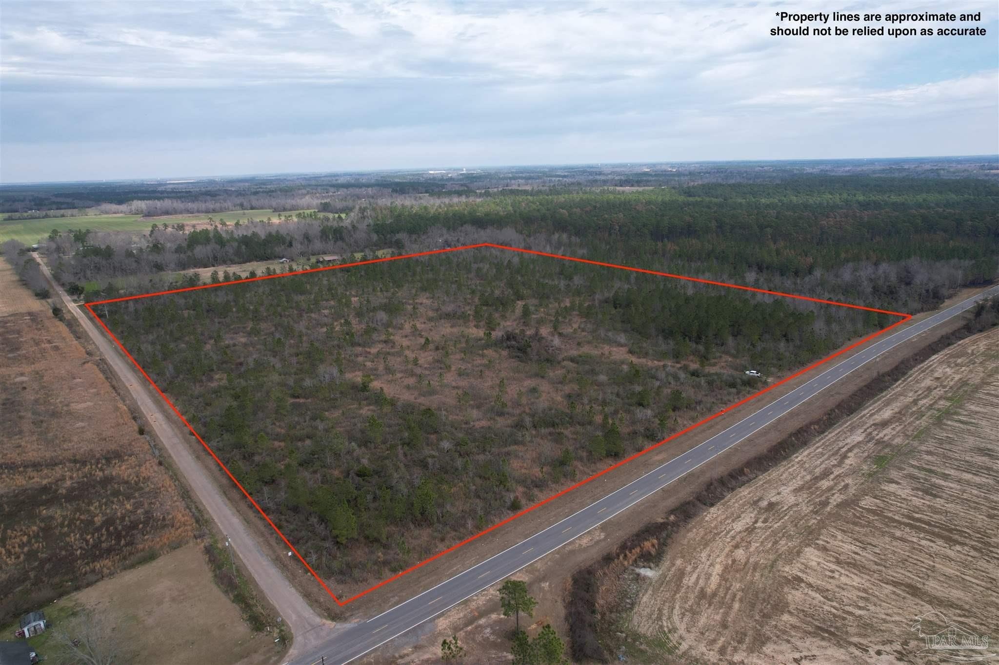 39 Acres of Rural Land