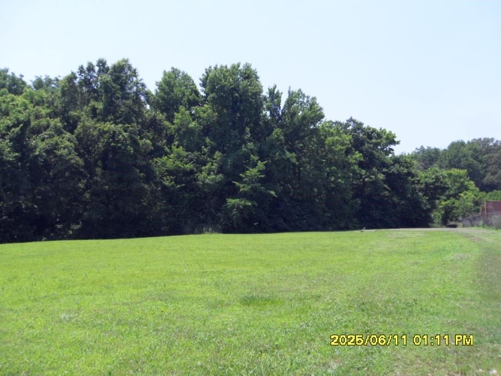 Picture 17
