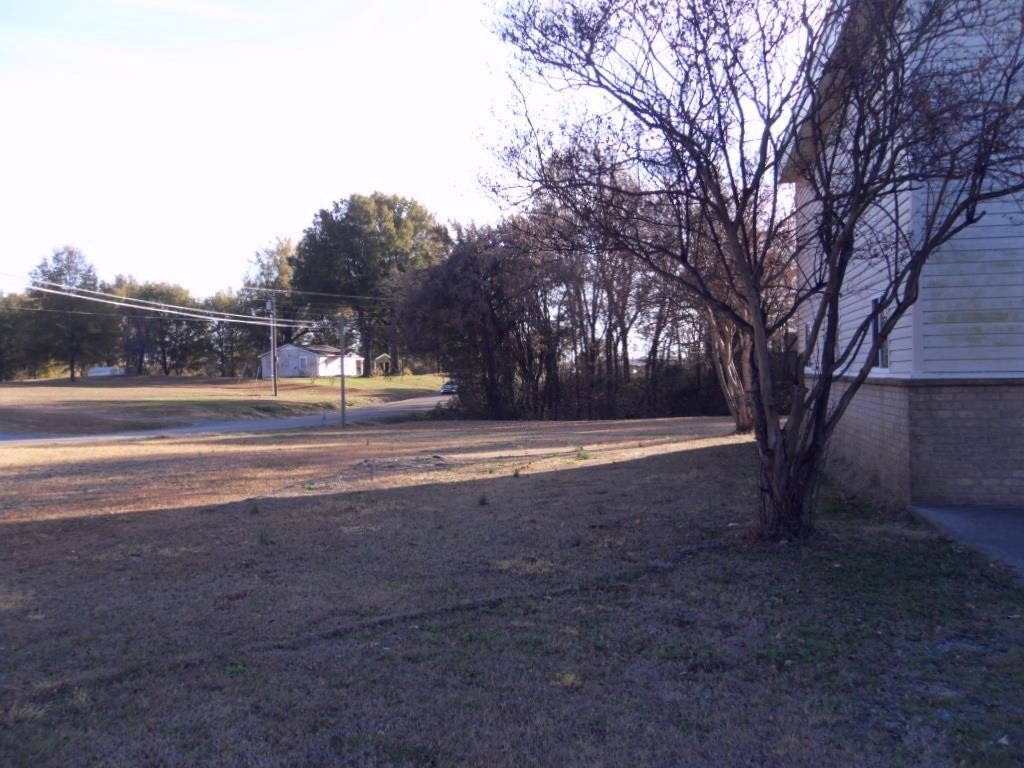 Picture 39