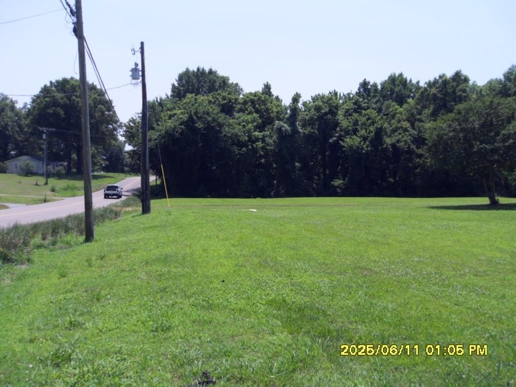 Picture 13