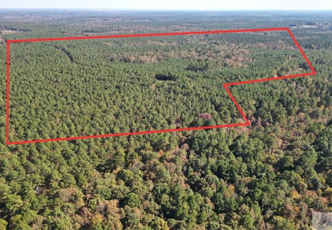 34.8 Acres in Doddridge, AR