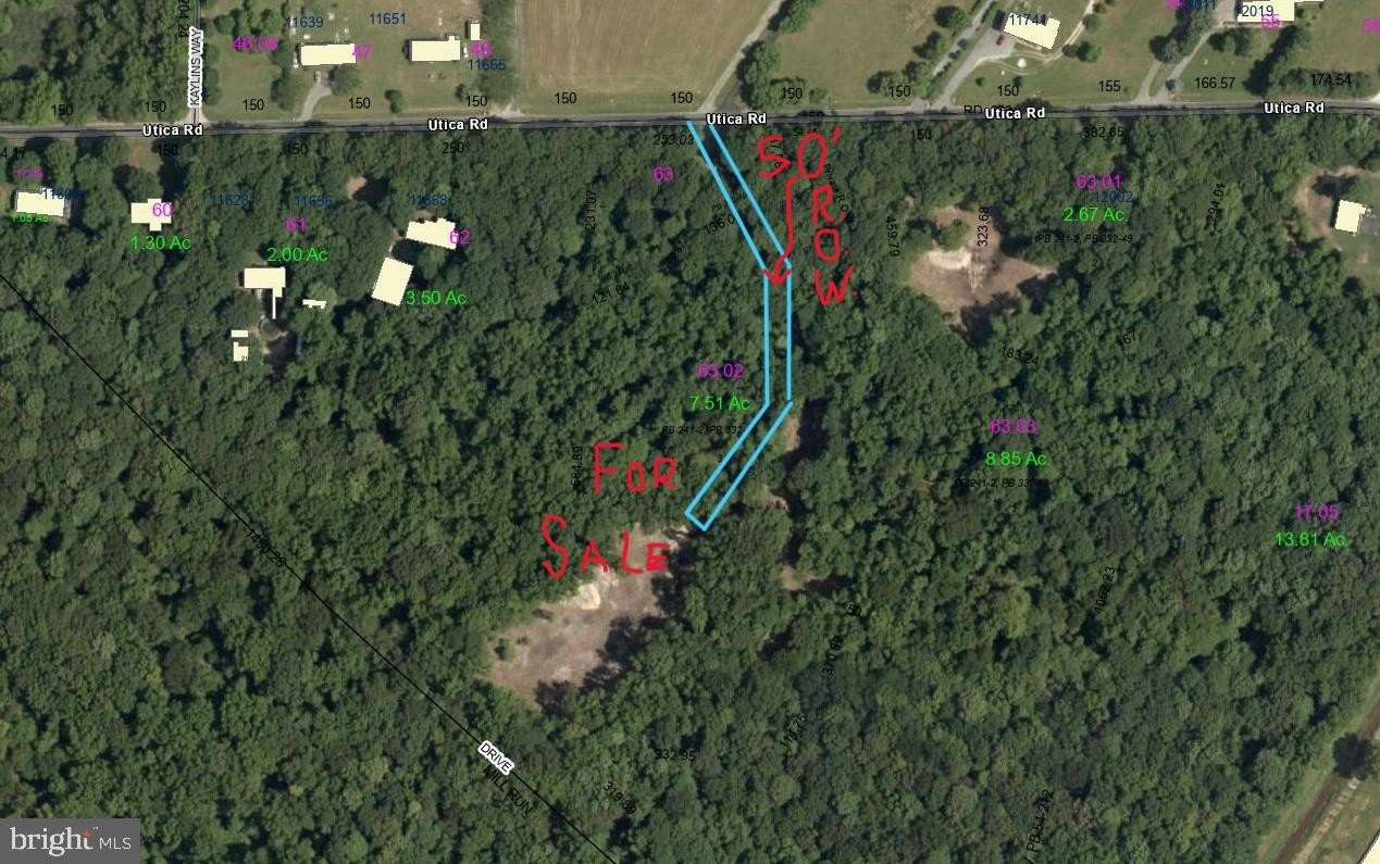 Wooded Acres Homesite in Greenwood