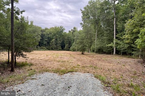 Wooded Acres Homesite in Greenwood