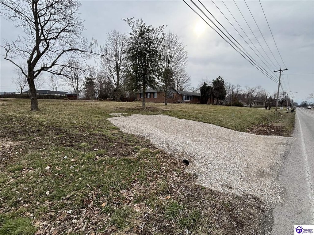Picture 23