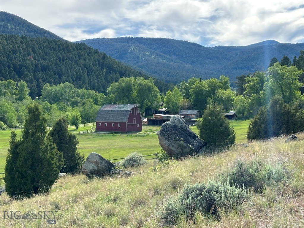 Picture 21