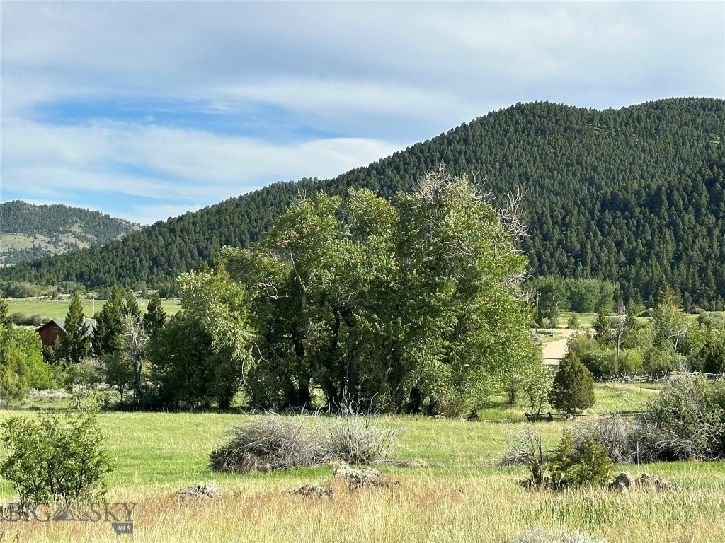 Picture 24