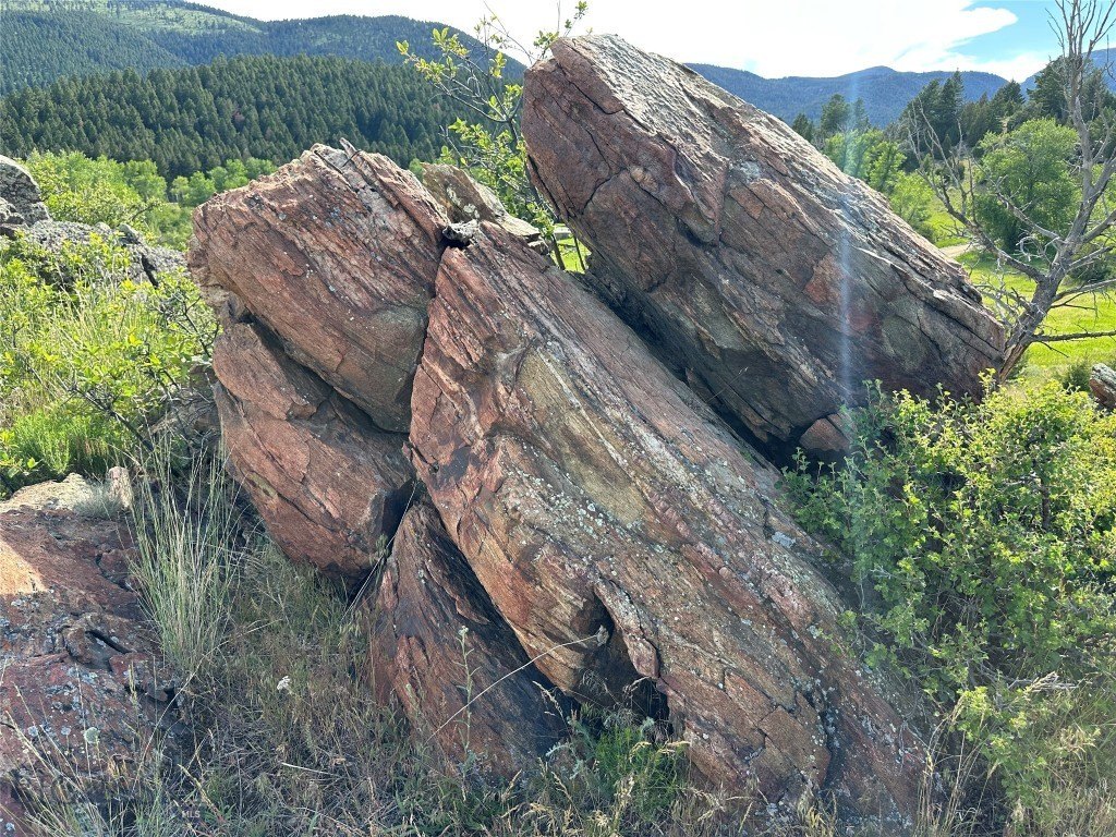Picture 26
