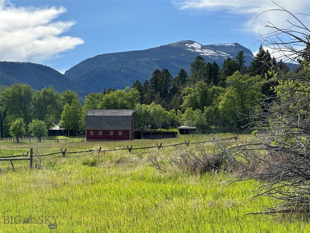 Picture 20