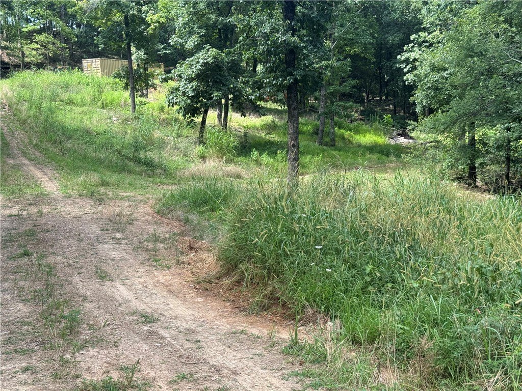 Picture 15