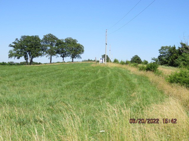 Picture 2