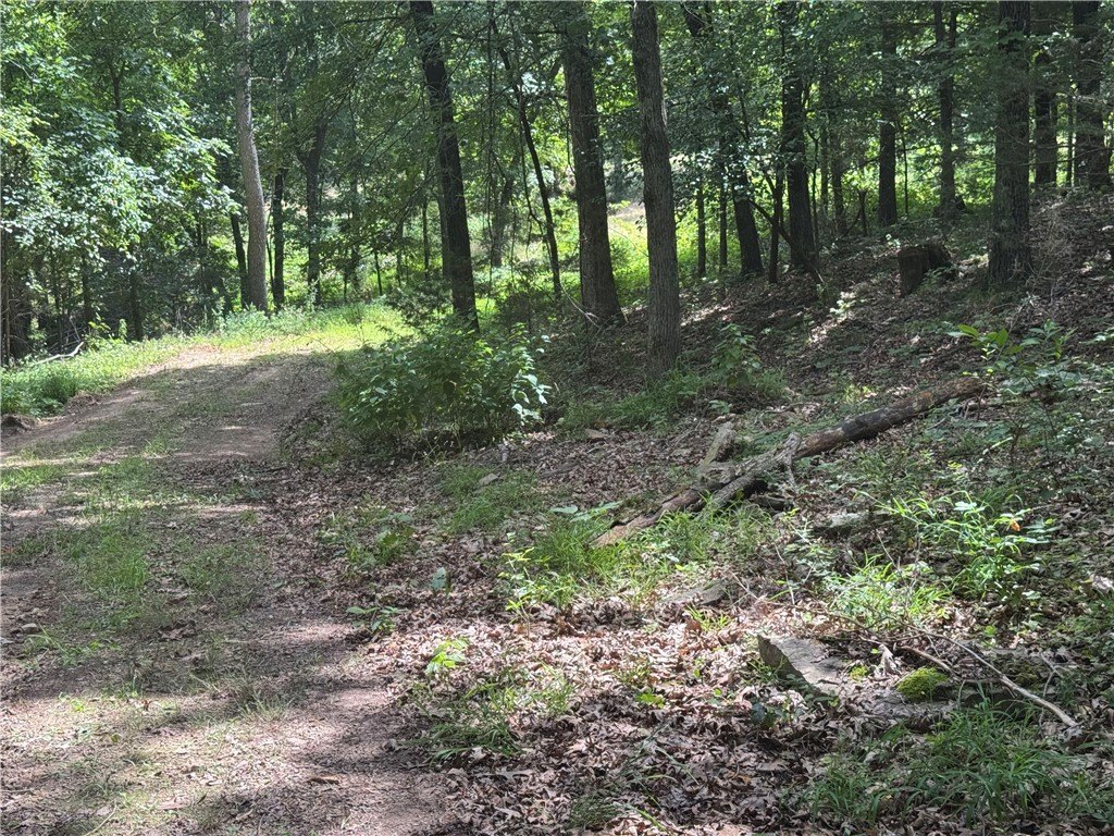 Picture 18
