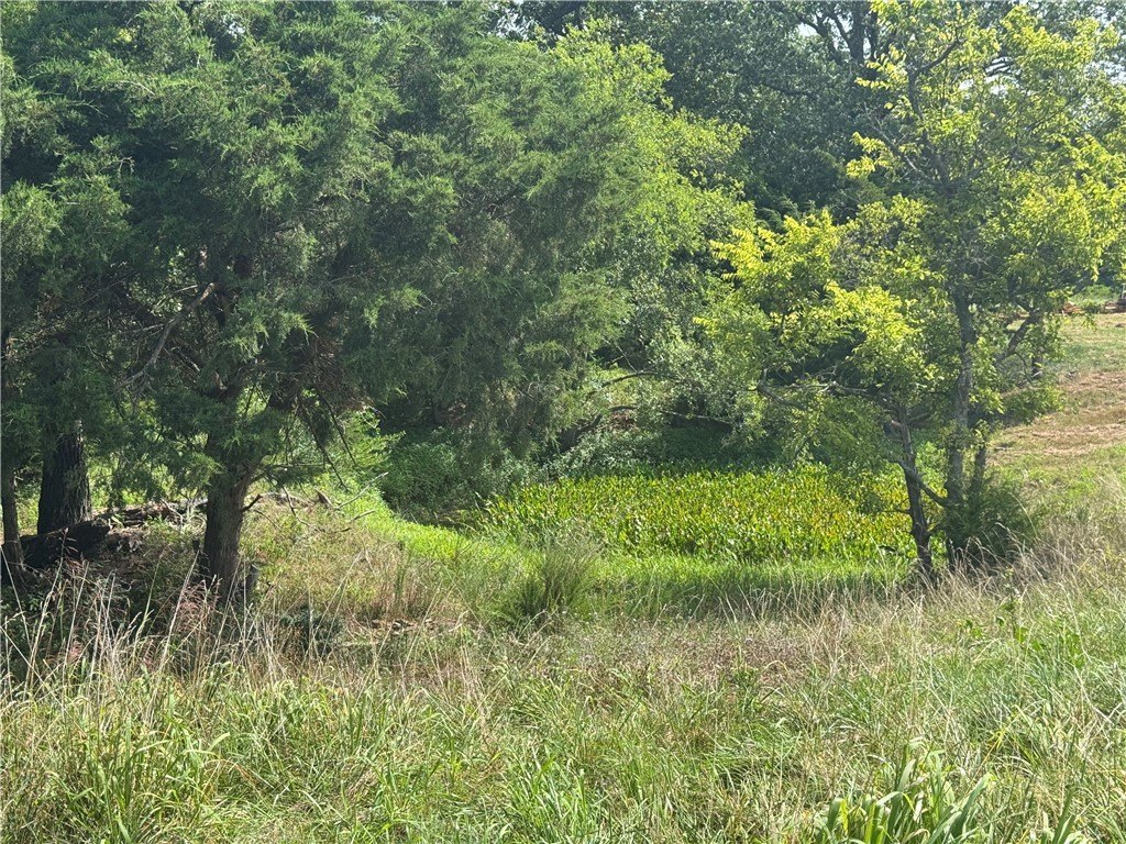 Picture 10