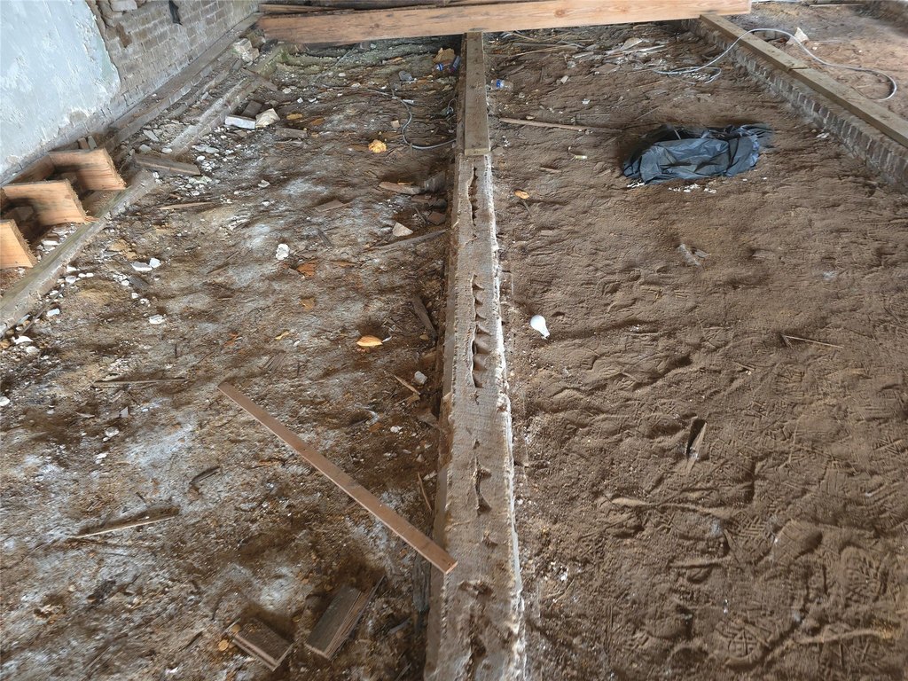 Picture 15