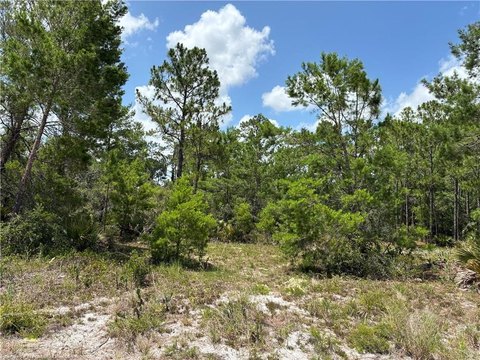 LAND - Sebring, FL