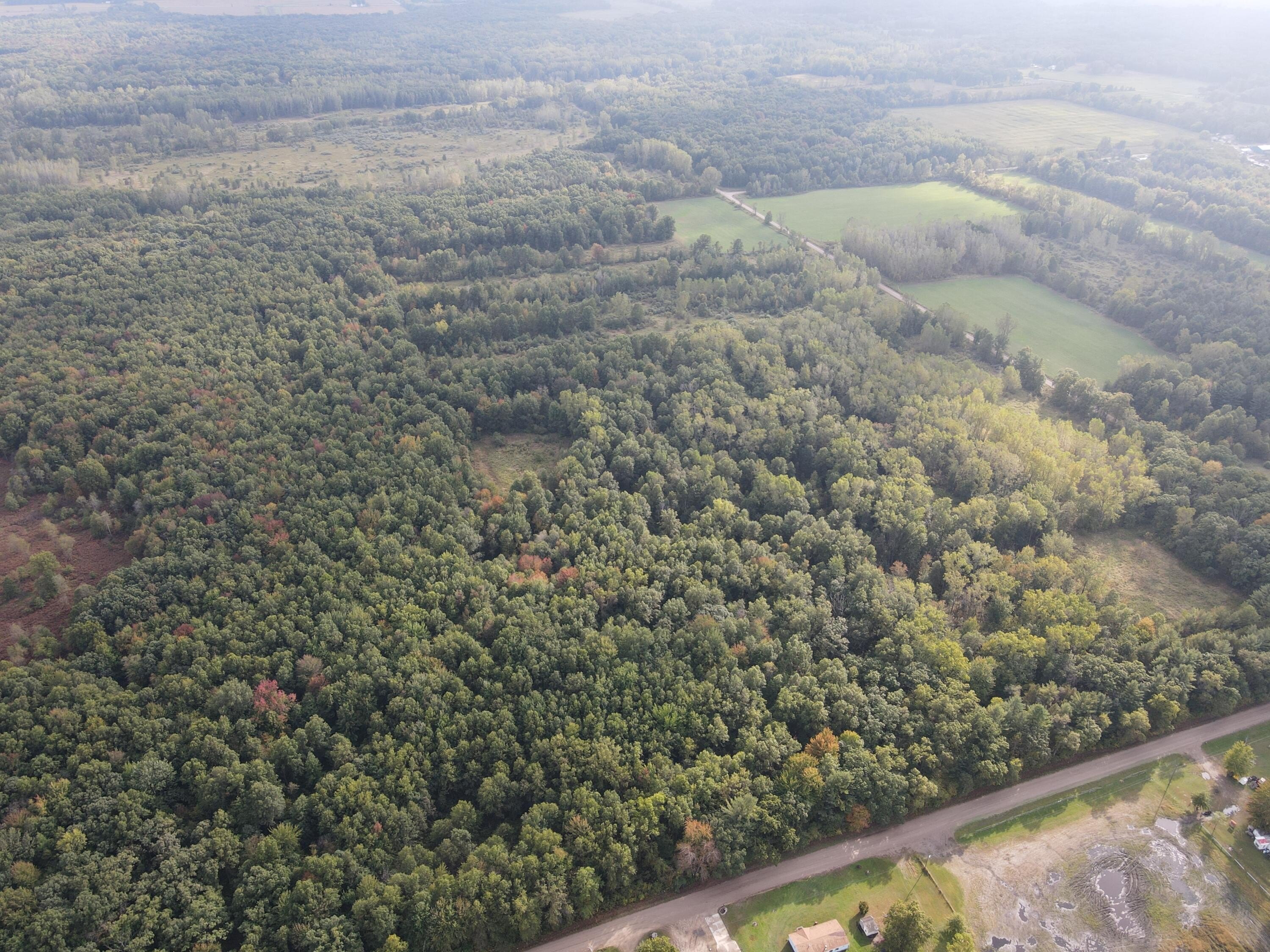 Gratiot County Vacant Land