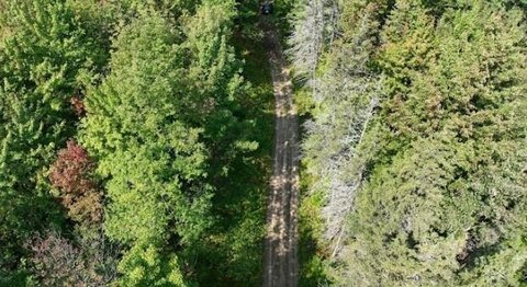 Secluded Wooded Acreage For Sale