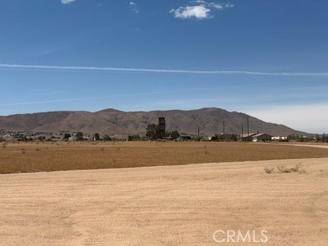 Picture 6