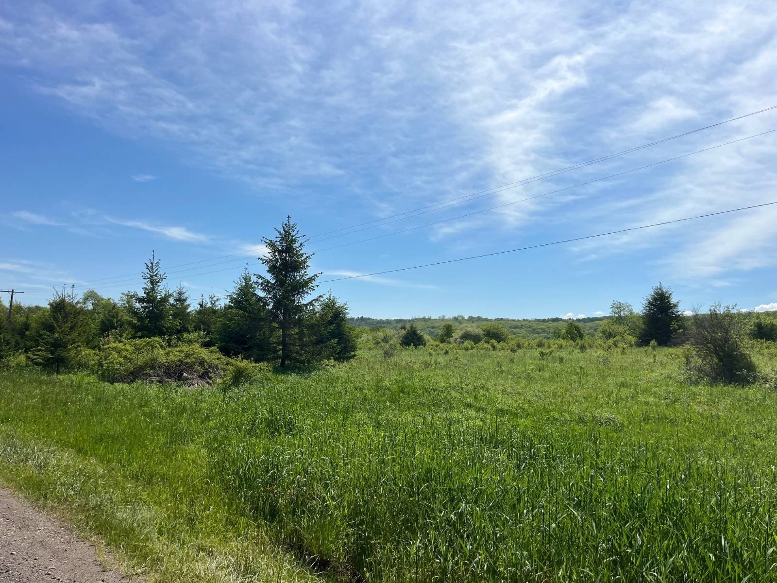 Scenic Land in Allegany County