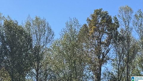 Vacant Agricultural Land Lot