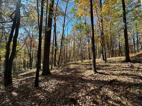 Unrestricted Hunting Land with Homesites