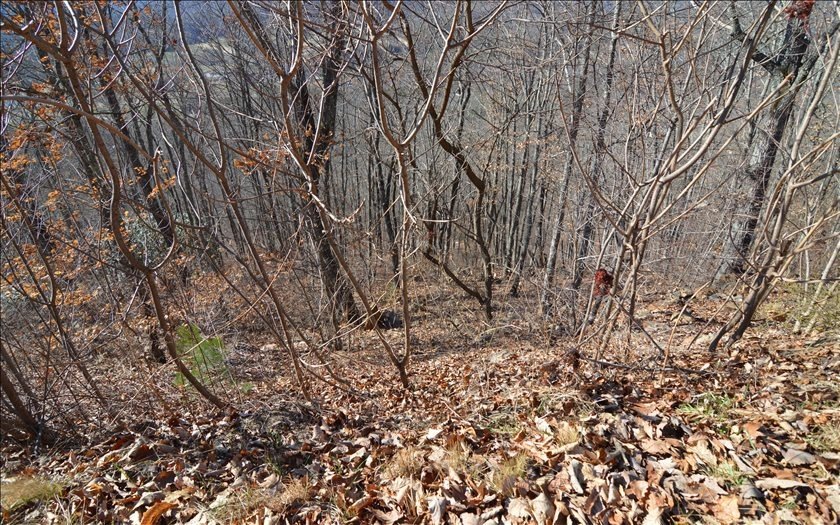Picture 10