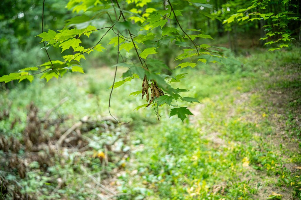 Picture 23