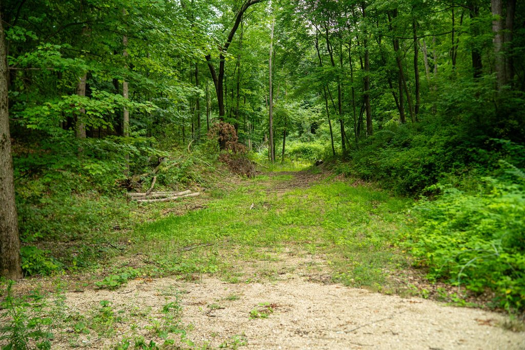 Picture 41