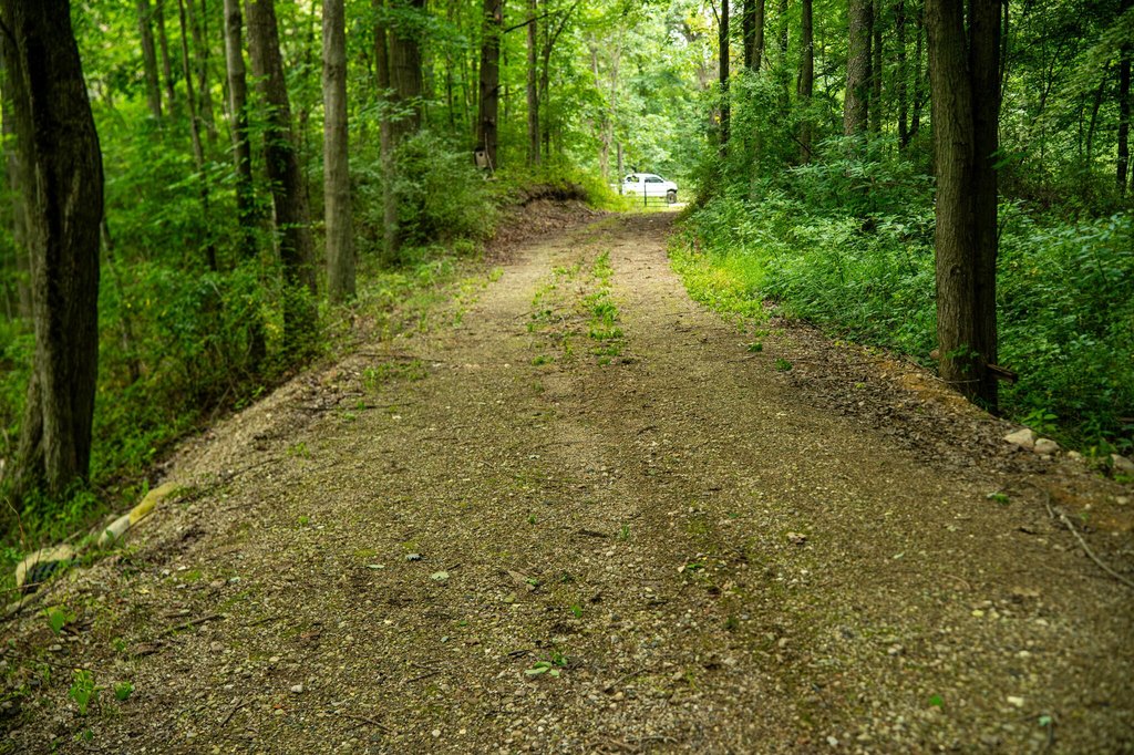 Picture 43