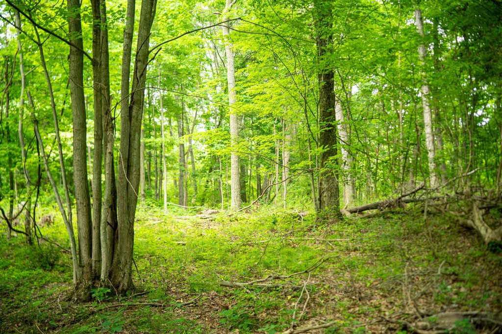 Picture 36
