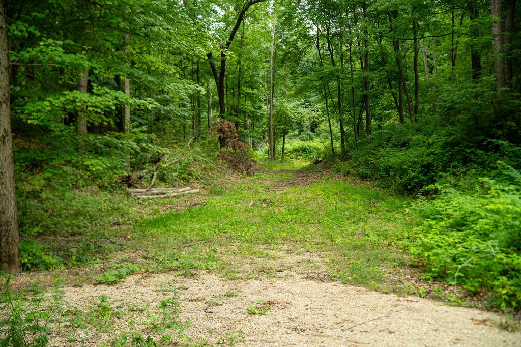 Picture 38