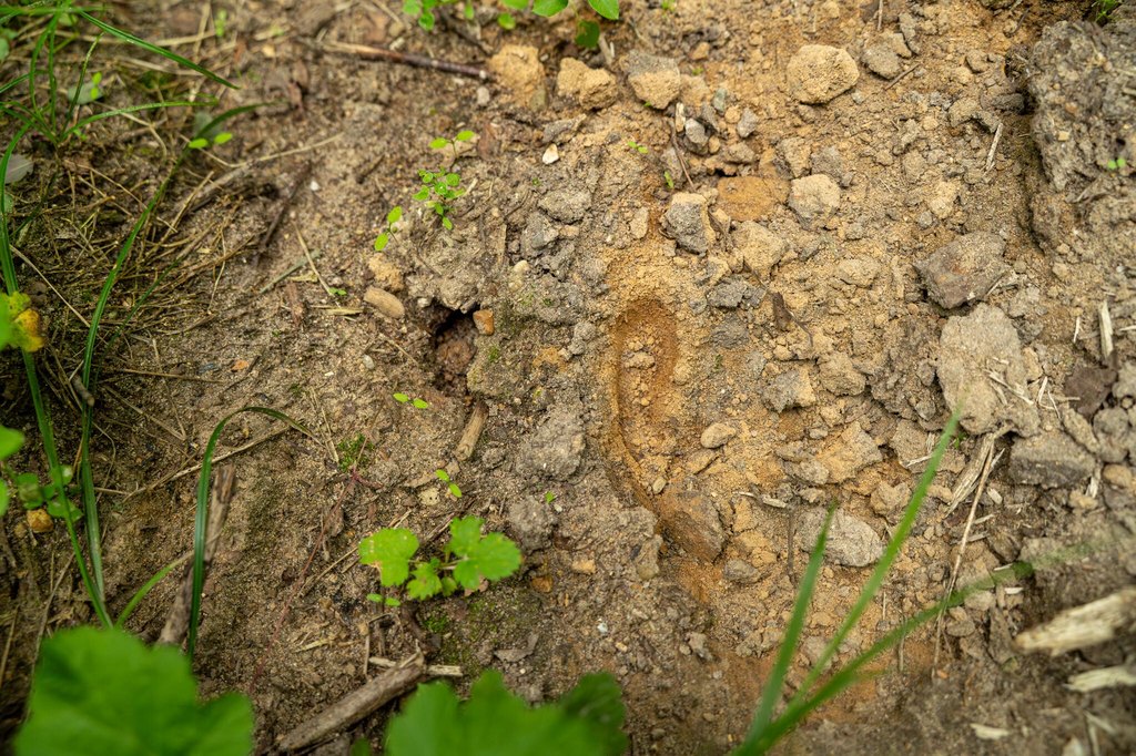 Picture 53