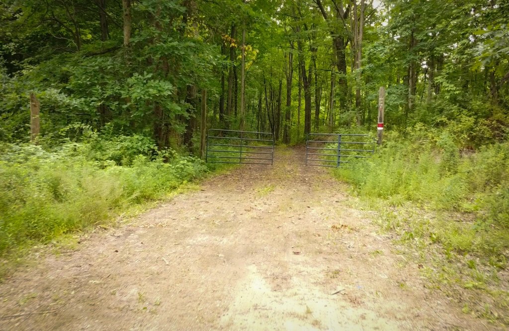 Picture 15