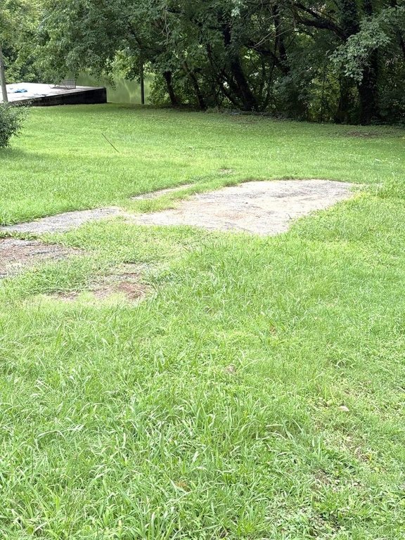 Picture 4