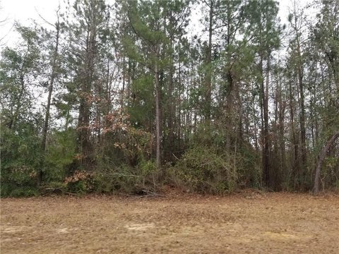 Land, Pineville, LA