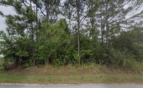 Land, Palm Bay, FL
