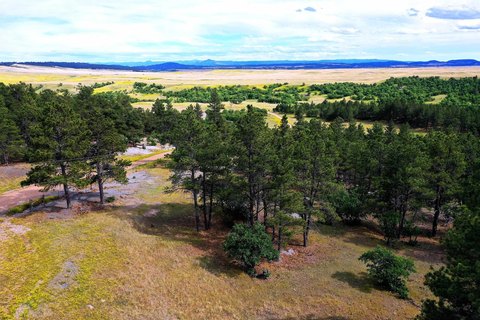 Timbered Recreational Land Parcel