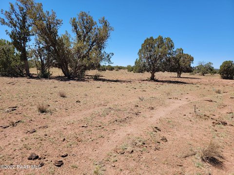 Seligman, AZ - 10 Acre Land