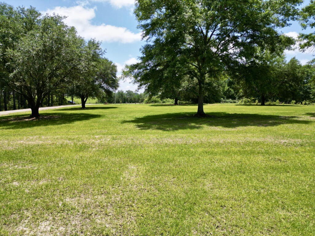 Picture 31