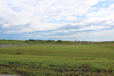 Residential Land in Story City